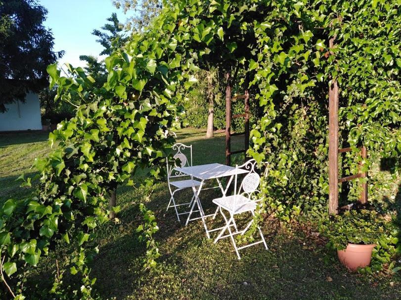B&B Borgo Del Priolo - Petfriendly Cesena Extérieur photo