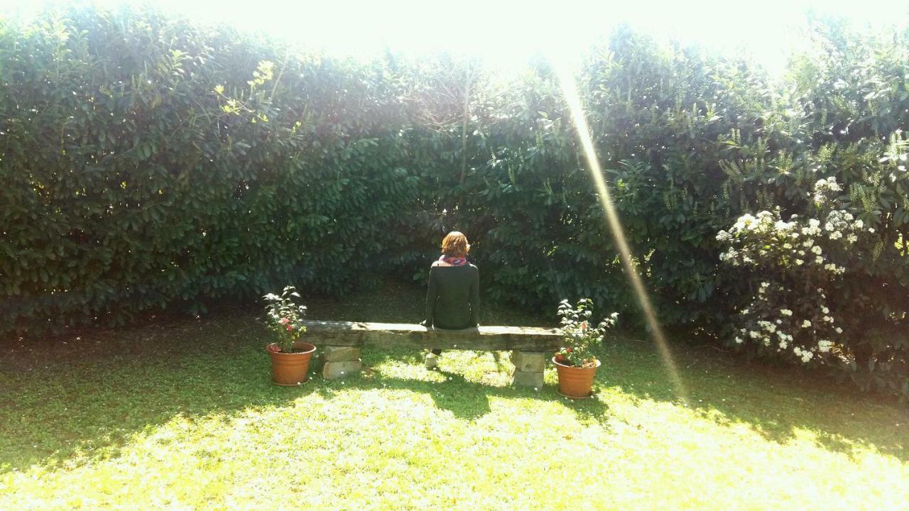 B&B Borgo Del Priolo - Petfriendly Cesena Extérieur photo